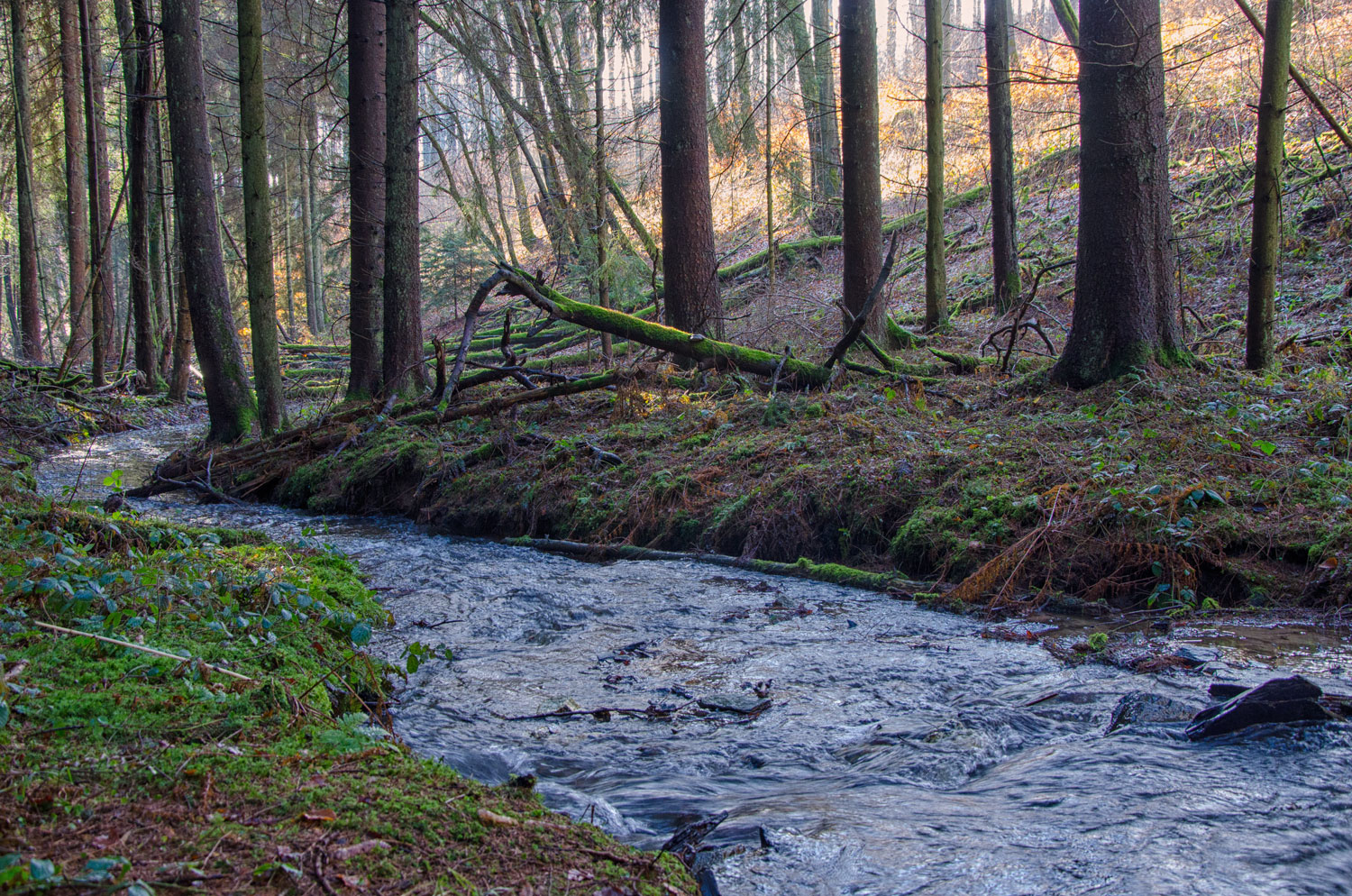 Laubach unterhalb Kurtscheid