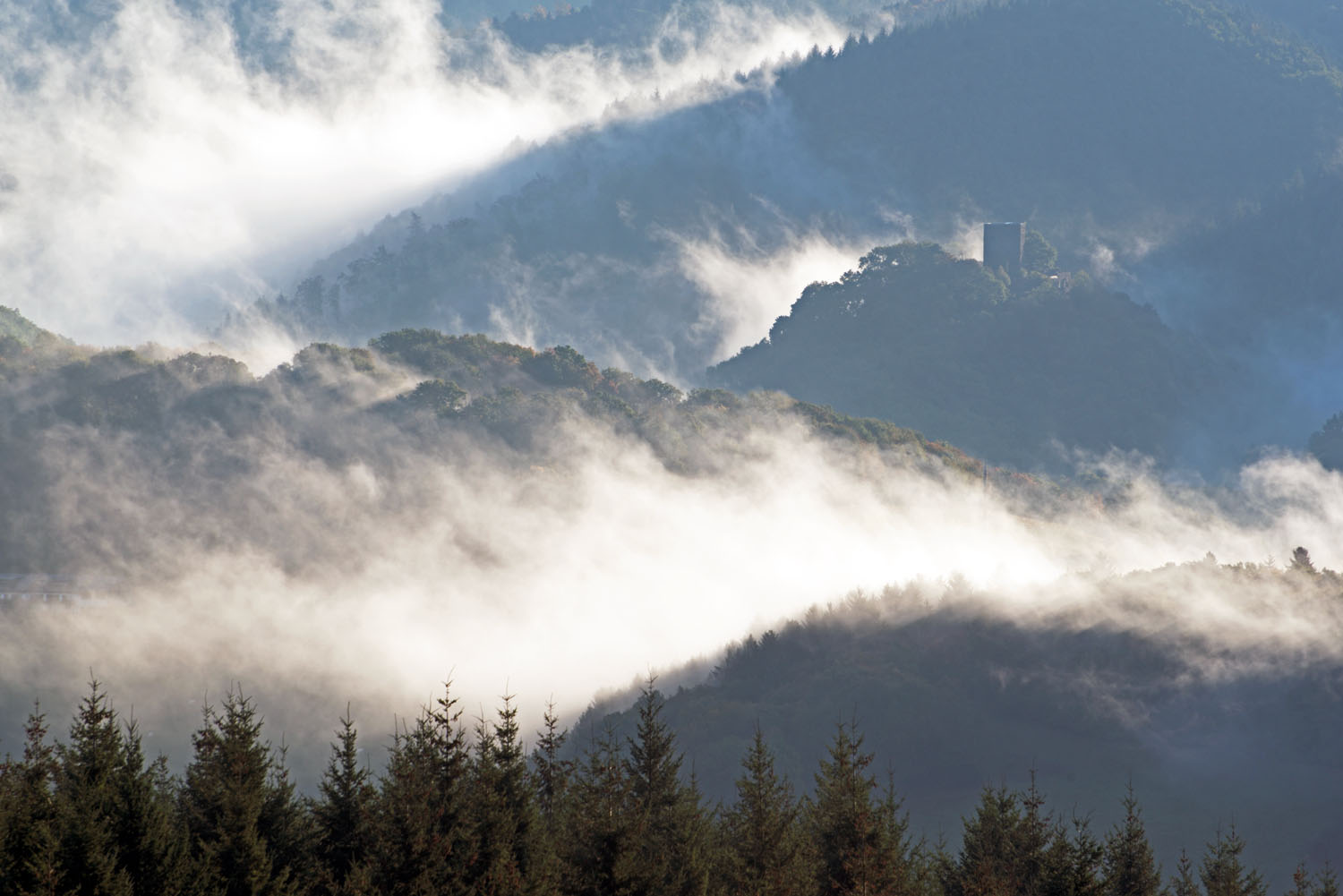 Neuerburg im Nebel D75 5809NeuerburgNebel