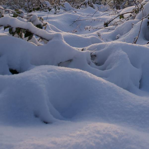 Winterintermezzo 2024